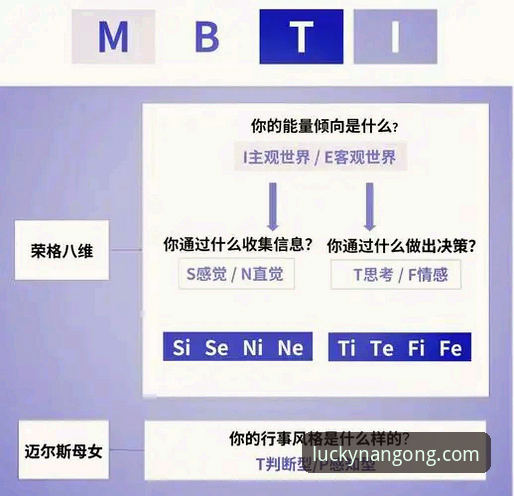 深度解析南宫28平台：3个核心维度与5项关键数据揭示其真实面貌